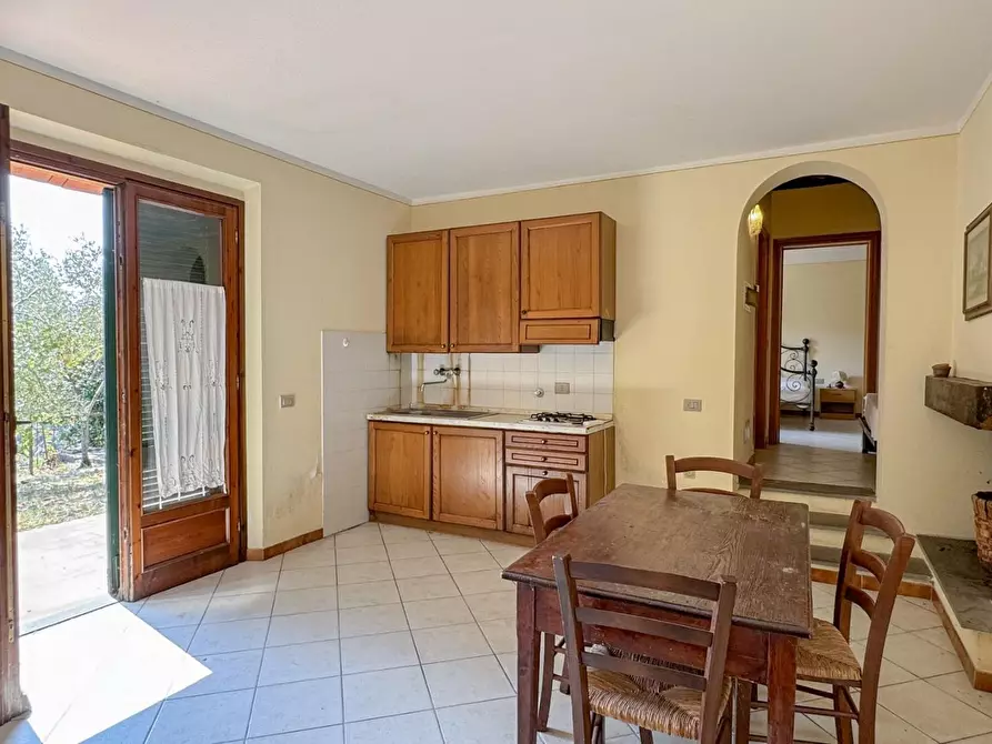 Immagine 67 di Casa colonica in vendita  a Lamporecchio