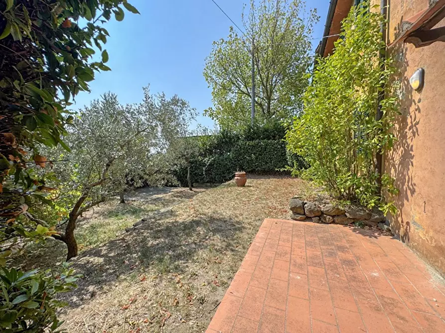 Immagine 64 di Casa colonica in vendita  a Lamporecchio