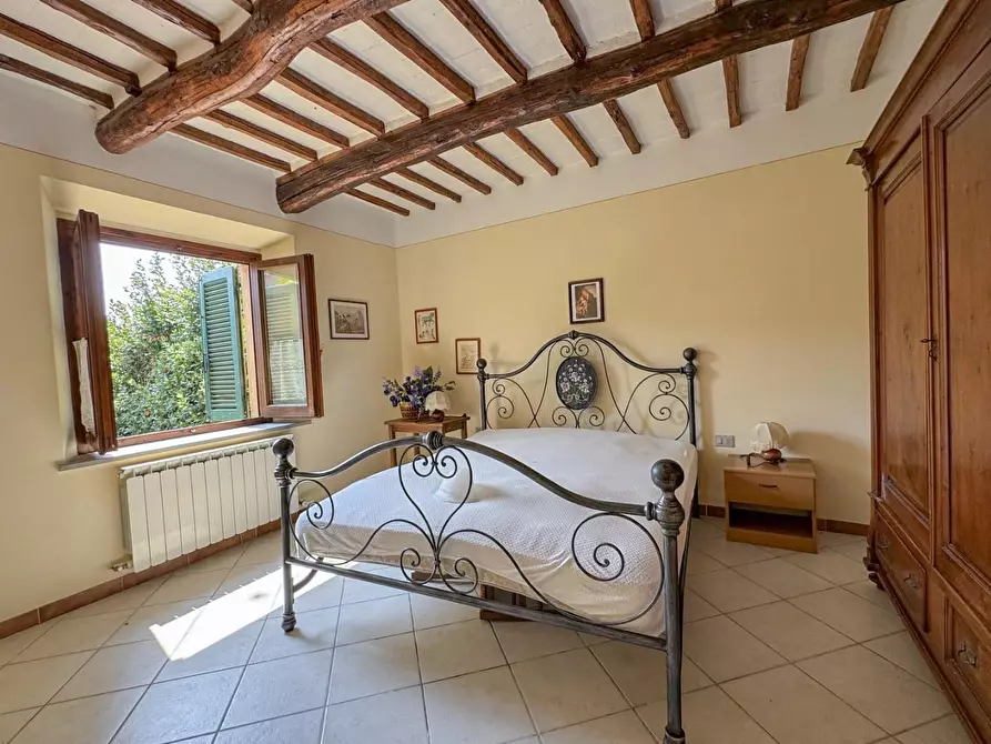 Immagine 72 di Casa colonica in vendita  a Lamporecchio