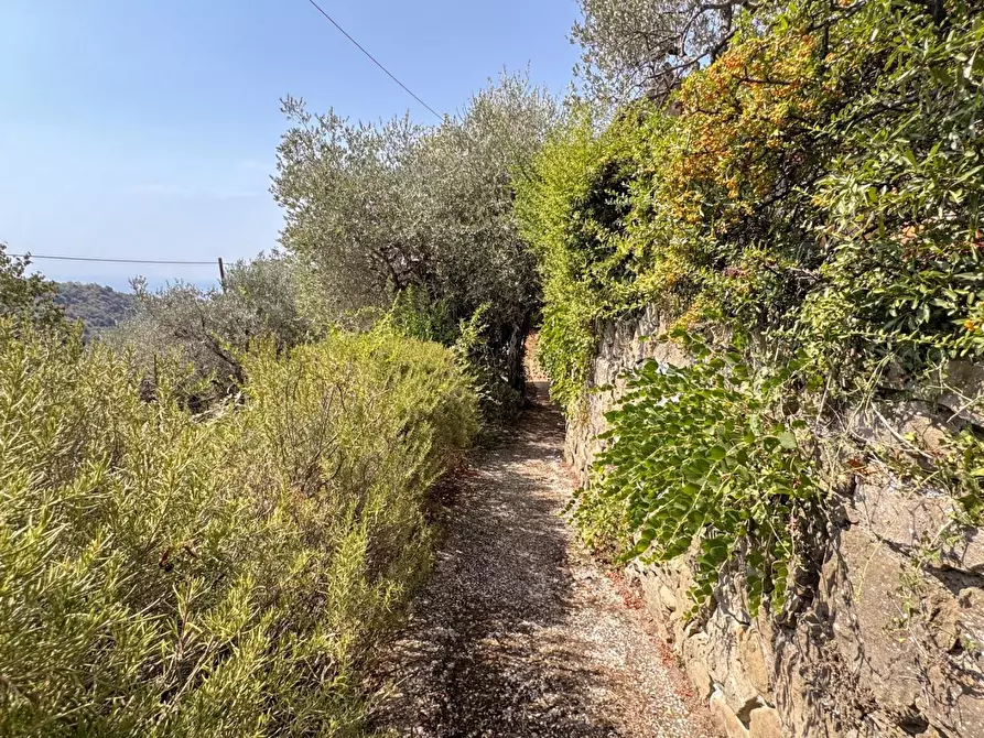 Immagine 57 di Casa colonica in vendita  a Lamporecchio