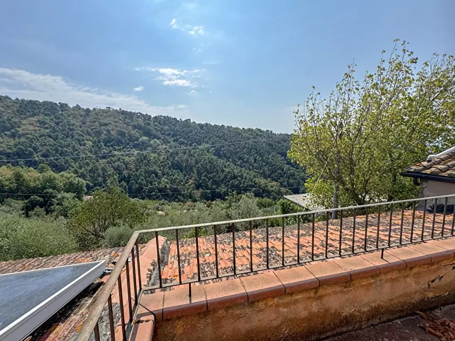 Immagine 43 di Casa colonica in vendita  a Lamporecchio