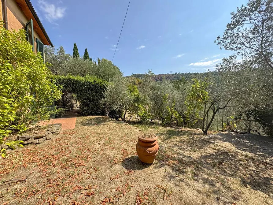 Immagine 63 di Casa colonica in vendita  a Lamporecchio