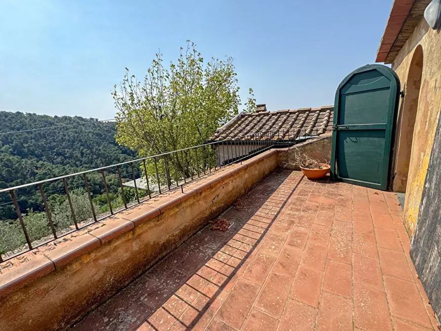 Immagine 41 di Casa colonica in vendita  a Lamporecchio