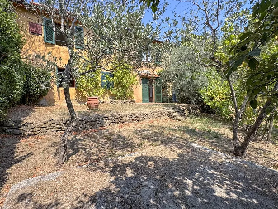 Immagine 62 di Casa colonica in vendita  a Lamporecchio