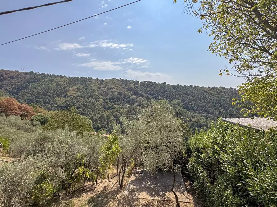 Immagine 53 di Casa colonica in vendita  a Lamporecchio
