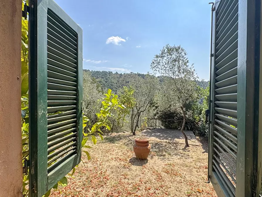 Immagine 74 di Casa colonica in vendita  a Lamporecchio