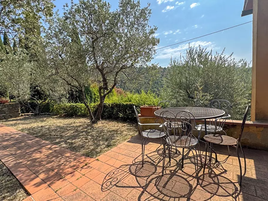 Immagine 45 di Casa colonica in vendita  a Lamporecchio