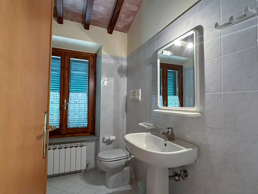 Immagine 54 di Casa colonica in vendita  a Lamporecchio