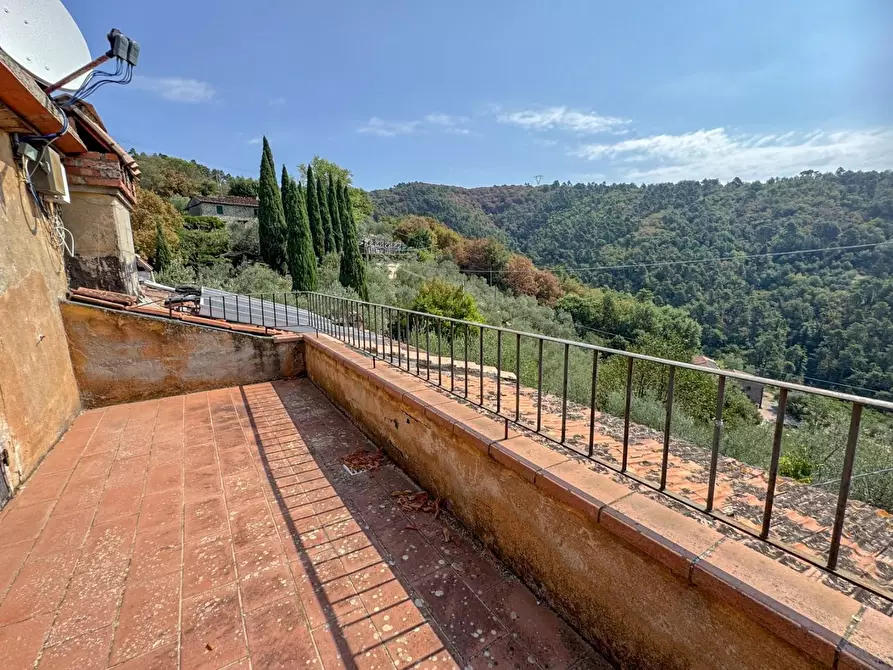 Immagine 42 di Casa colonica in vendita  a Lamporecchio