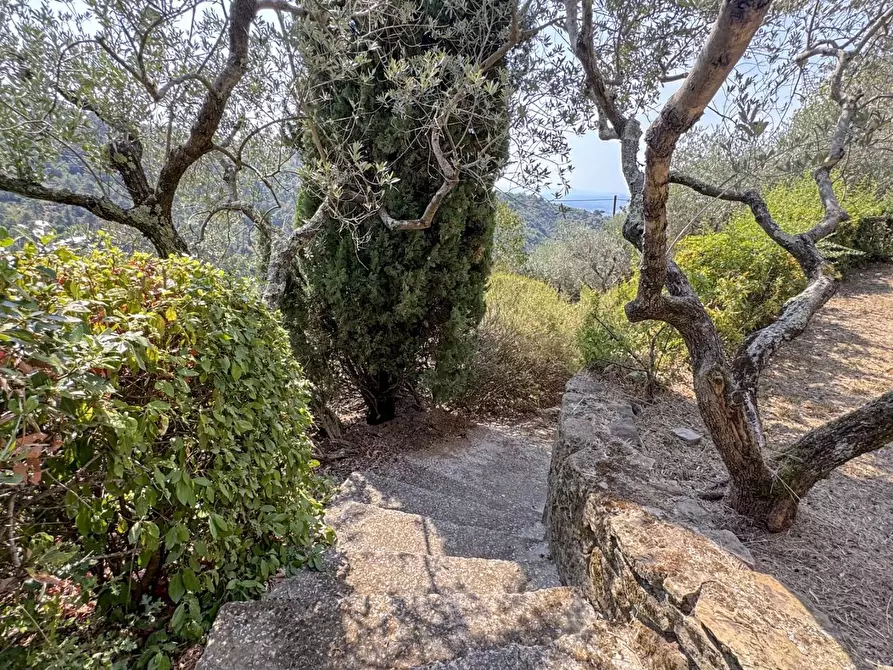 Immagine 56 di Casa colonica in vendita  a Lamporecchio