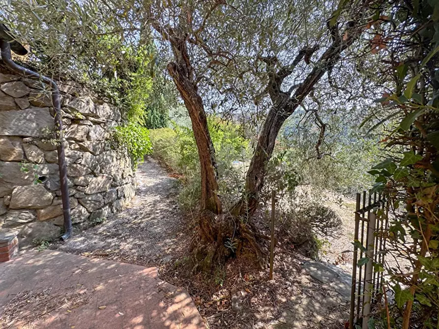 Immagine 60 di Casa colonica in vendita  a Lamporecchio