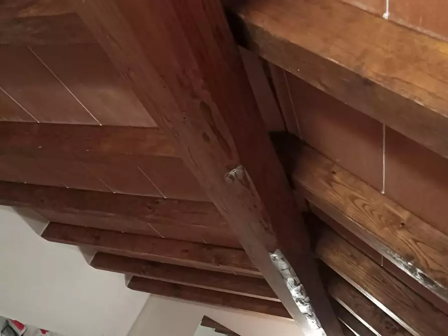 Immagine 15 di Terratetto in vendita  a Massa