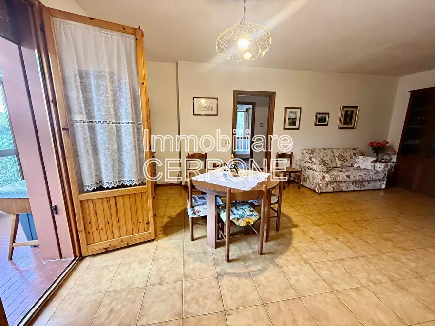 Immagine 4 di Appartamento in vendita  a Cecina