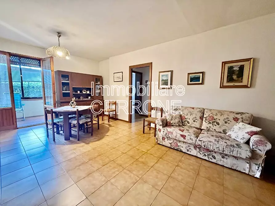 Immagine 1 di Appartamento in vendita  a Cecina