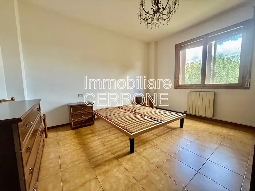 Immagine 12 di Appartamento in vendita  a Cecina