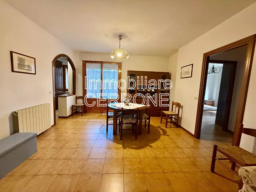 Immagine 5 di Appartamento in vendita  a Cecina