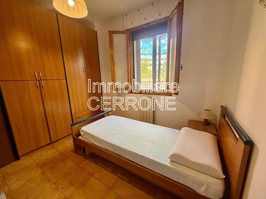 Immagine 17 di Appartamento in vendita  a Cecina