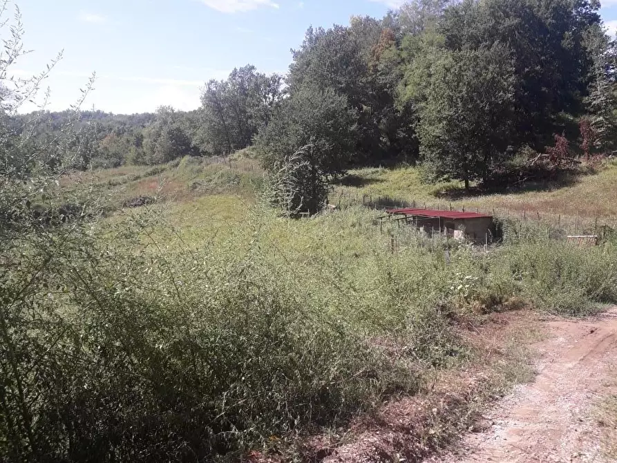 Immagine 6 di Casa indipendente in vendita  a Bagnone