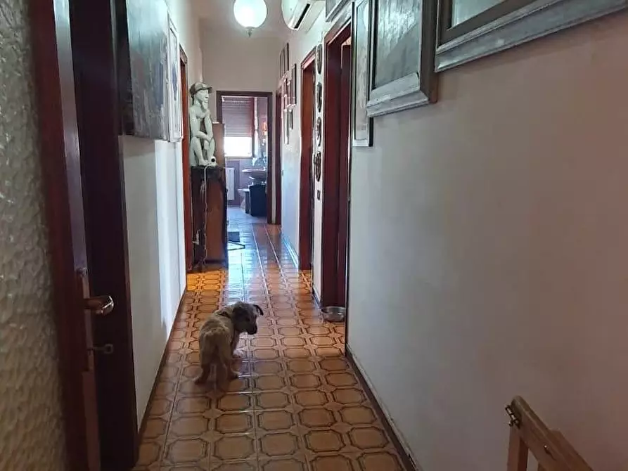 Immagine 16 di Appartamento in vendita  a Montecarlo