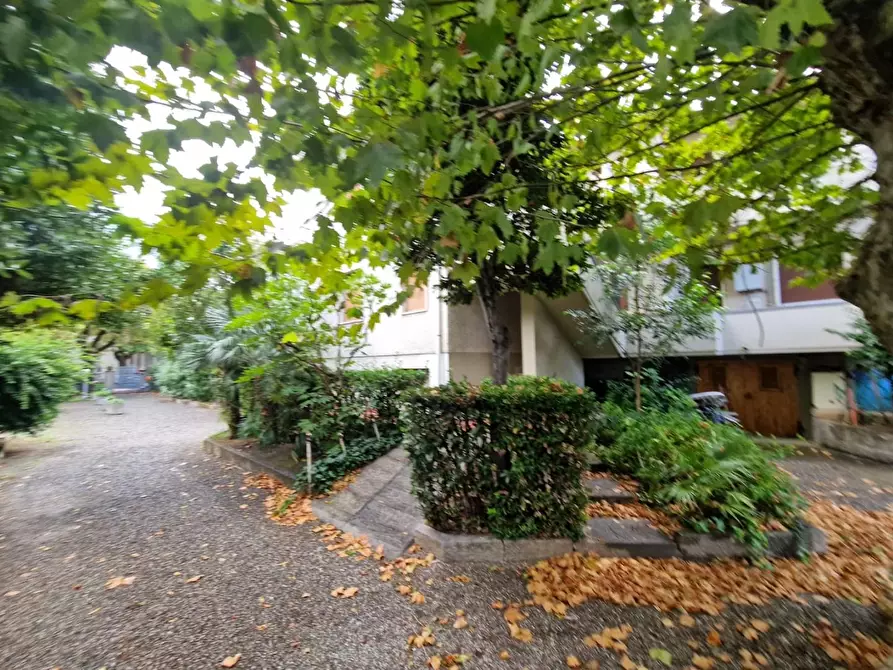 Immagine 4 di Appartamento in vendita  a Rosignano Marittimo