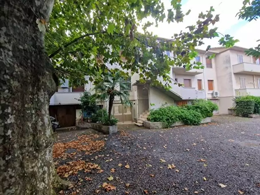 Immagine 5 di Appartamento in vendita  a Rosignano Marittimo