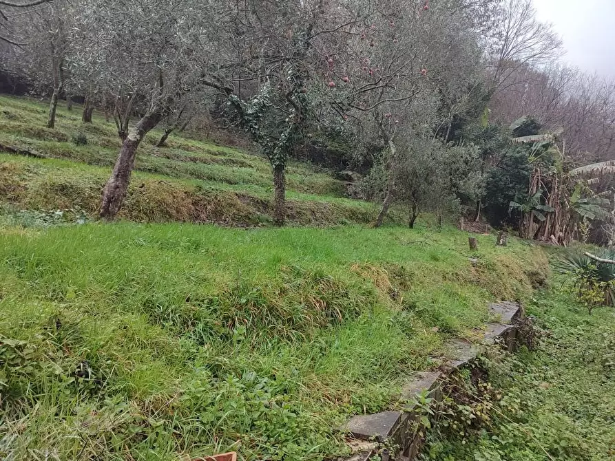 Immagine 29 di Casa indipendente in vendita  a Ortonovo