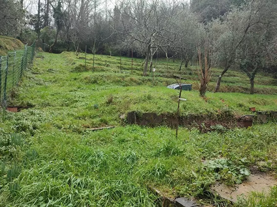 Immagine 27 di Casa indipendente in vendita  a Ortonovo