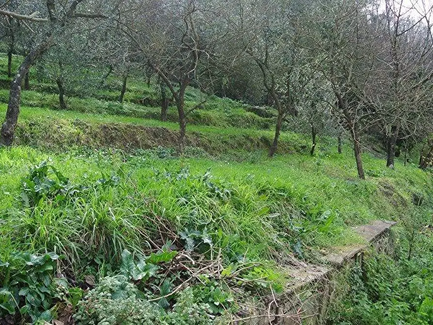 Immagine 21 di Casa indipendente in vendita  a Ortonovo