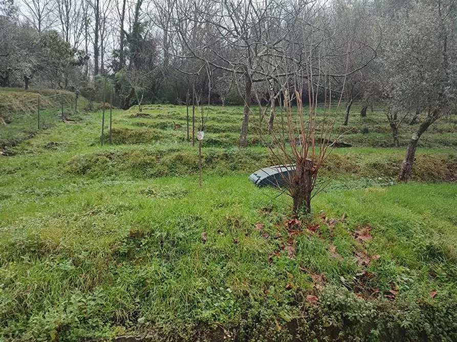 Immagine 28 di Casa indipendente in vendita  a Ortonovo