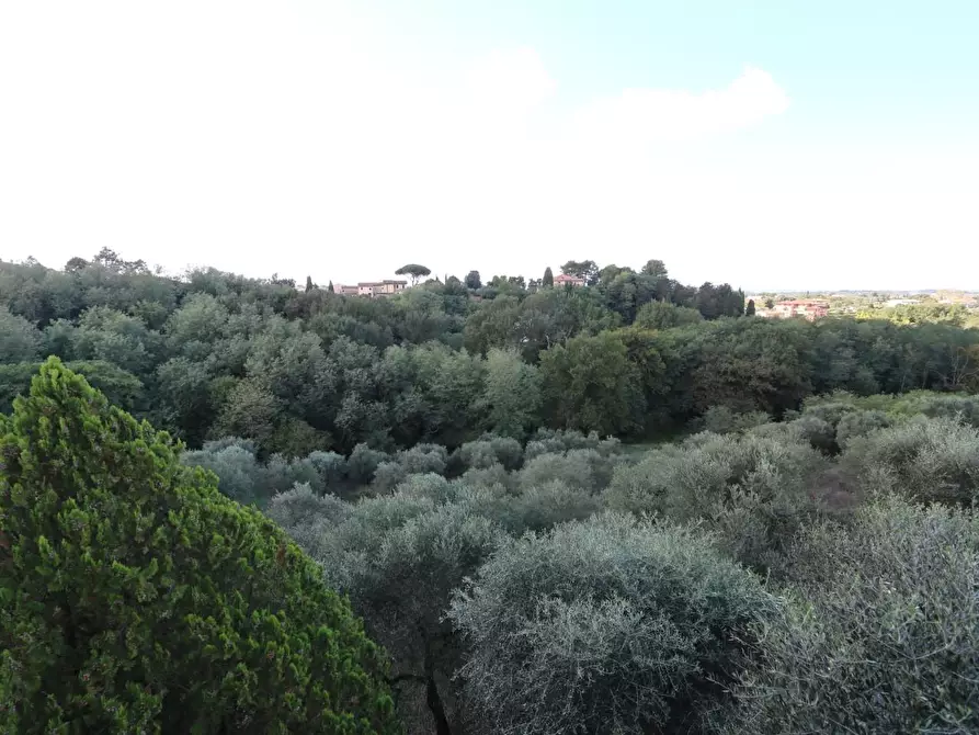 Immagine 10 di Casa indipendente in vendita  a Santa Maria A Monte