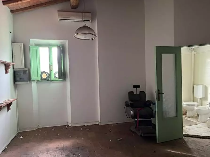 Immagine 15 di Appartamento in vendita  a Palaia