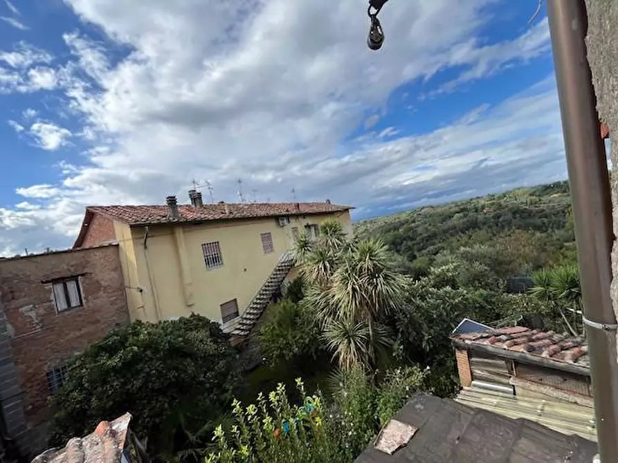 Immagine 19 di Appartamento in vendita  a Palaia