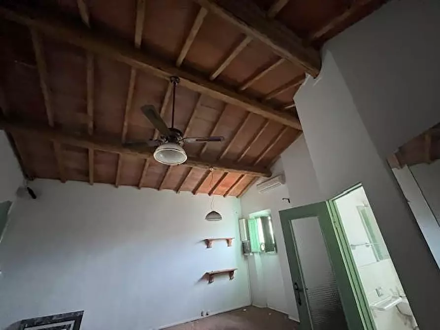 Immagine 18 di Appartamento in vendita  a Palaia