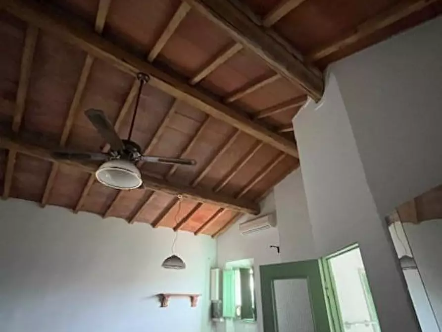 Immagine 17 di Appartamento in vendita  a Palaia