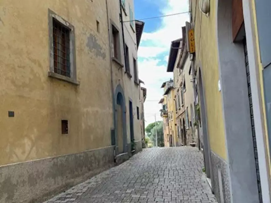 Immagine 24 di Appartamento in vendita  a Palaia