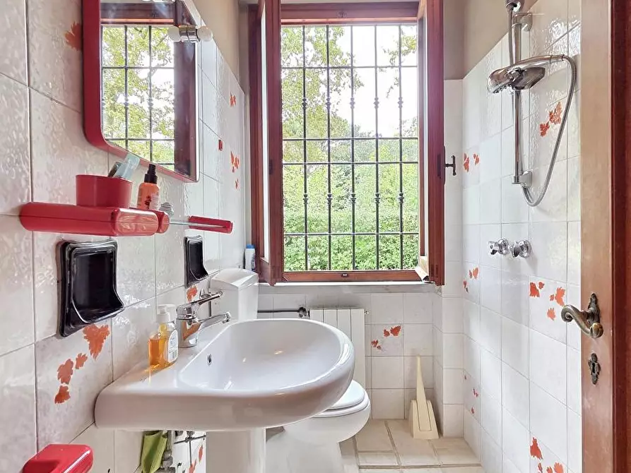 Immagine 14 di Villa in vendita  a Massa