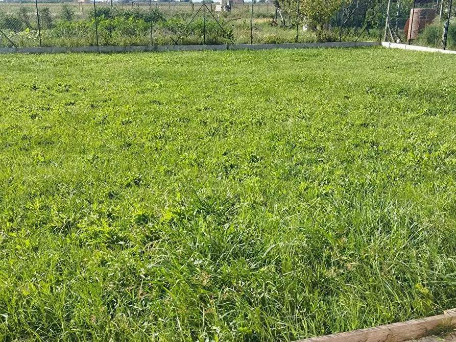 Immagine 10 di Villa in vendita  a Cascina