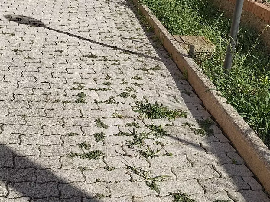 Immagine 6 di Villa in vendita  a Cascina