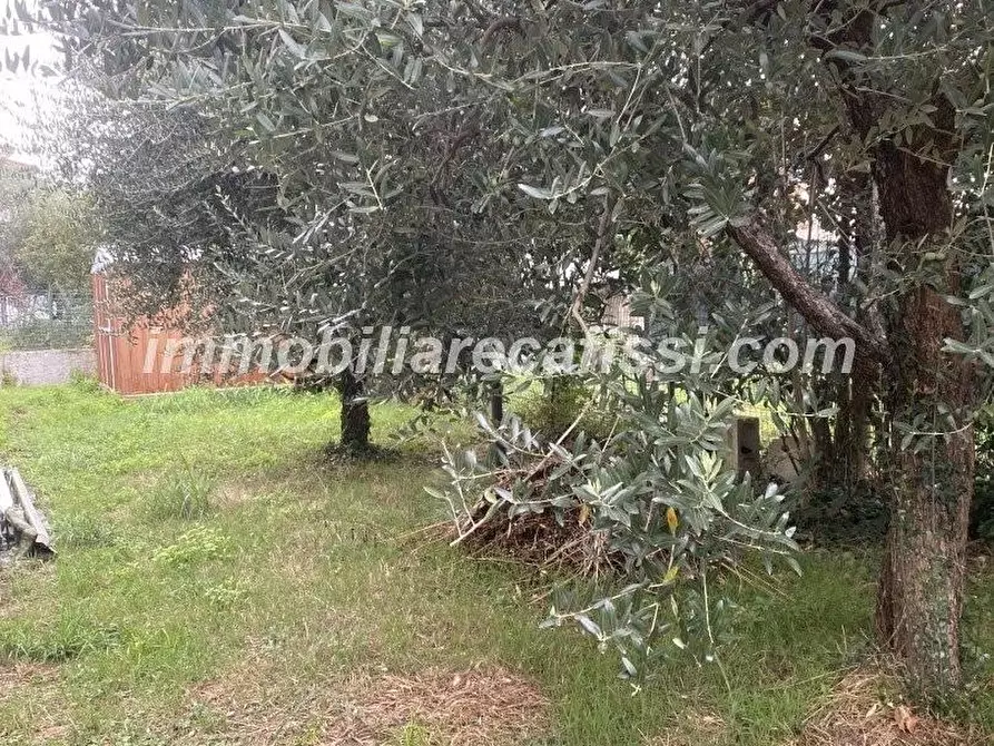 Immagine 20 di Appartamento in vendita  a Poggio A Caiano