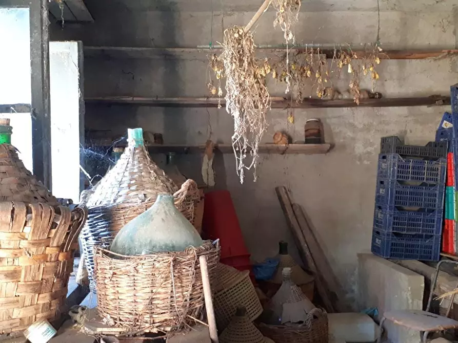Immagine 17 di Porzione di casa in vendita  a Santa Maria A Monte