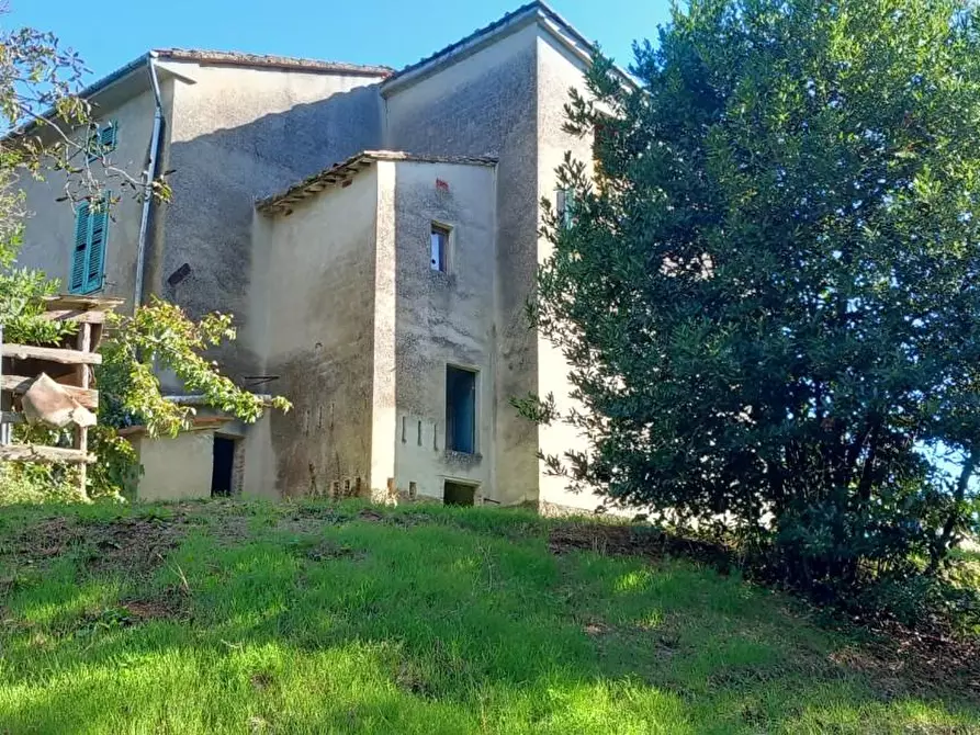 Immagine 3 di Porzione di casa in vendita  a Santa Maria A Monte