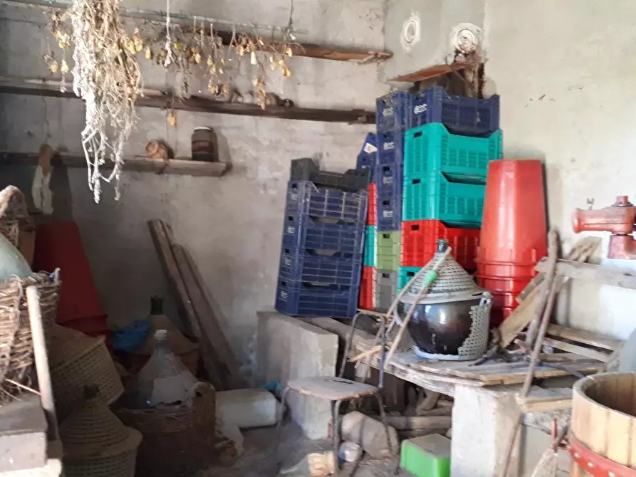 Immagine 16 di Porzione di casa in vendita  a Santa Maria A Monte