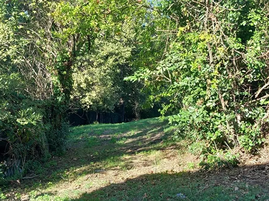Immagine 19 di Porzione di casa in vendita  a Santa Maria A Monte