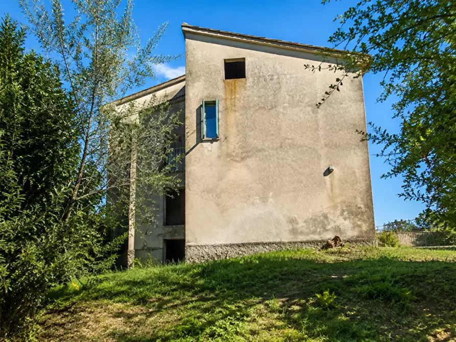 Immagine 6 di Porzione di casa in vendita  a Santa Maria A Monte