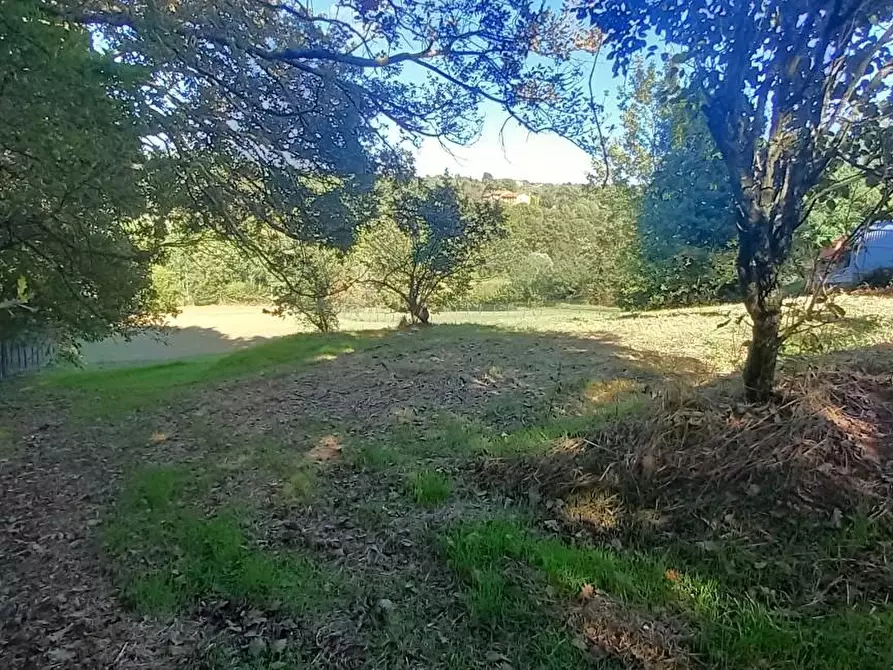 Immagine 20 di Porzione di casa in vendita  a Santa Maria A Monte
