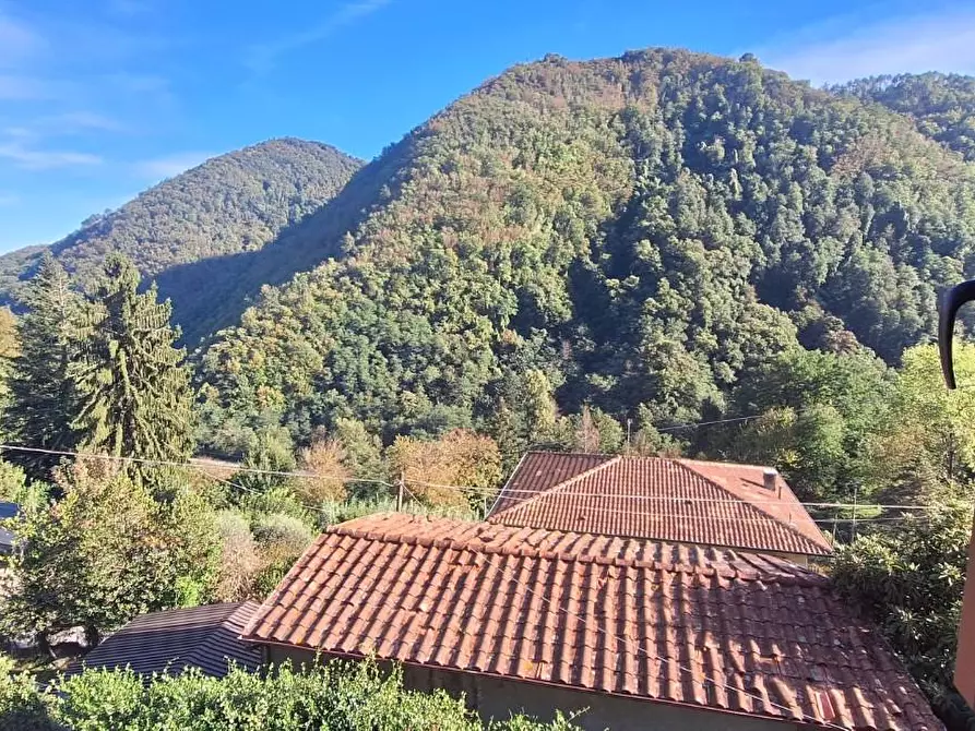 Immagine 11 di Appartamento in vendita  a Pescaglia