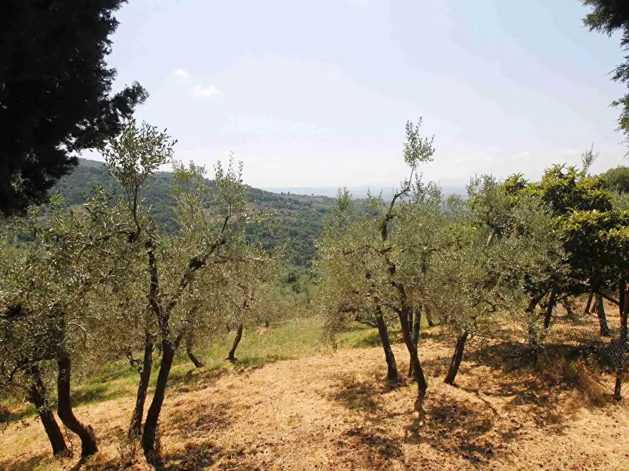 Immagine 2 di Casa colonica in vendita  a Vinci