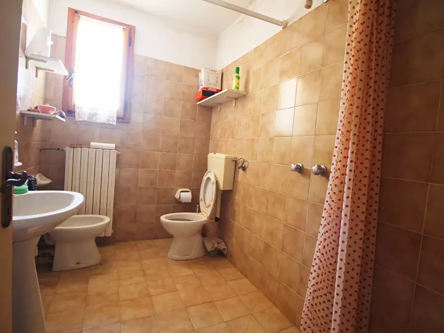 Immagine 8 di Casa colonica in vendita  a Vinci