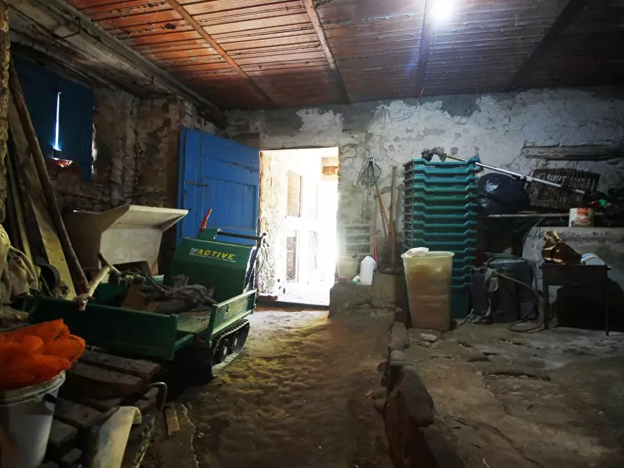 Immagine 13 di Casa colonica in vendita  a Vinci