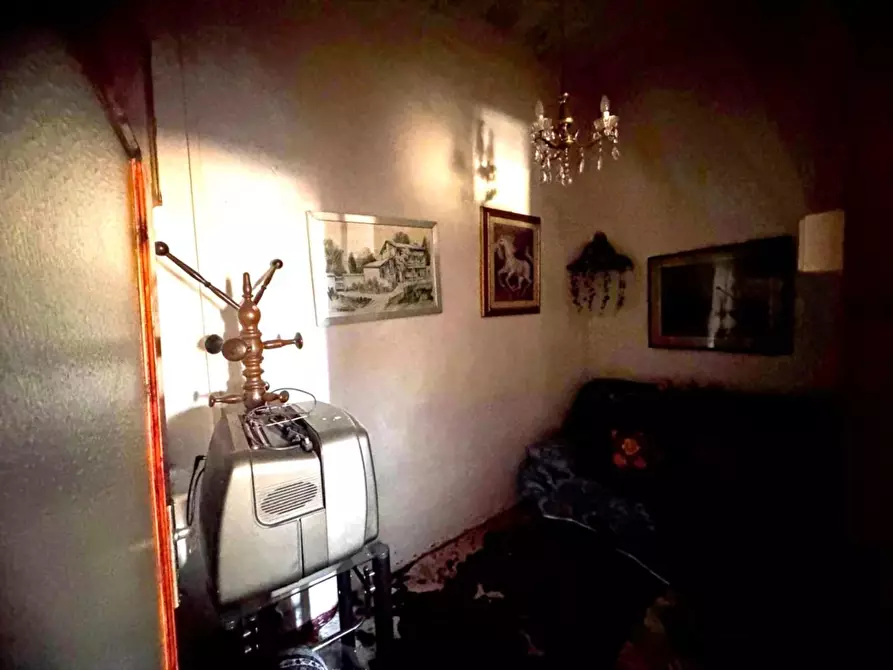 Immagine 3 di Appartamento in vendita  a Monticiano